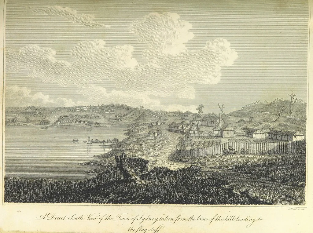 An illustration from An Account of the English Colony in New South Wales ... To which are added, some particulars of New Zealand; compiled ... from the MSS. of Lieutenant-Governor King ... Illustrated by engravings, 1804, leaf 231