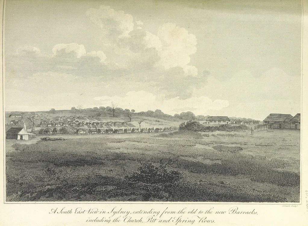 An illustration from An Account of the English Colony in New South Wales ... To which are added, some particulars of New Zealand; compiled ... from the MSS. of Lieutenant-Governor King ... Illustrated by engravings, 1804, leaf 241