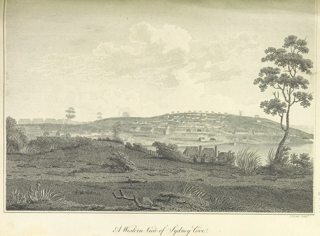 An illustration from An Account of the English Colony in New South Wales ... To which are added, some particulars of New Zealand; compiled ... from the MSS. of Lieutenant-Governor King ... Illustrated by engravings, 1804, leaf 247