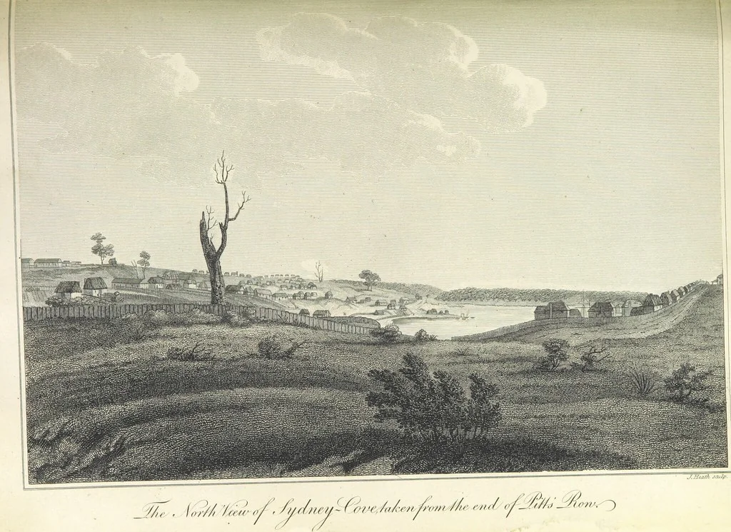 An illustration from An Account of the English Colony in New South Wales ... To which are added, some particulars of New Zealand; compiled ... from the MSS. of Lieutenant-Governor King ... Illustrated by engravings, 1804, leaf 277