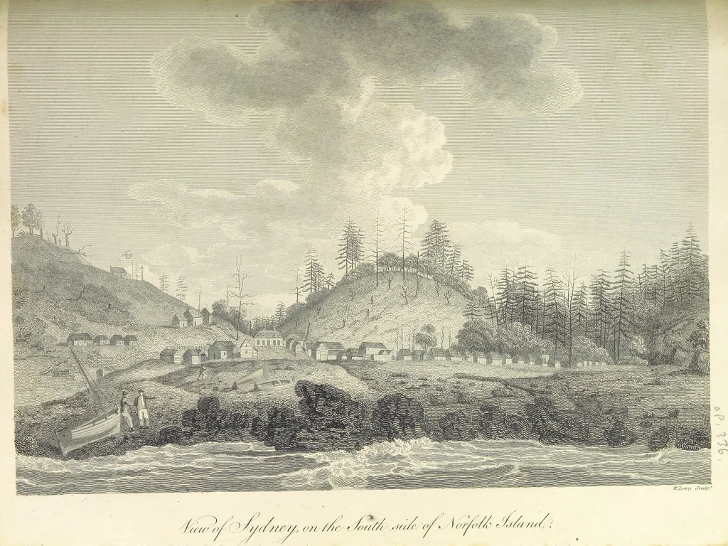An illustration from An Account of the English Colony in New South Wales ... To which are added, some particulars of New Zealand; compiled ... from the MSS. of Lieutenant-Governor King ... Illustrated by engravings, 1804, leaf 385