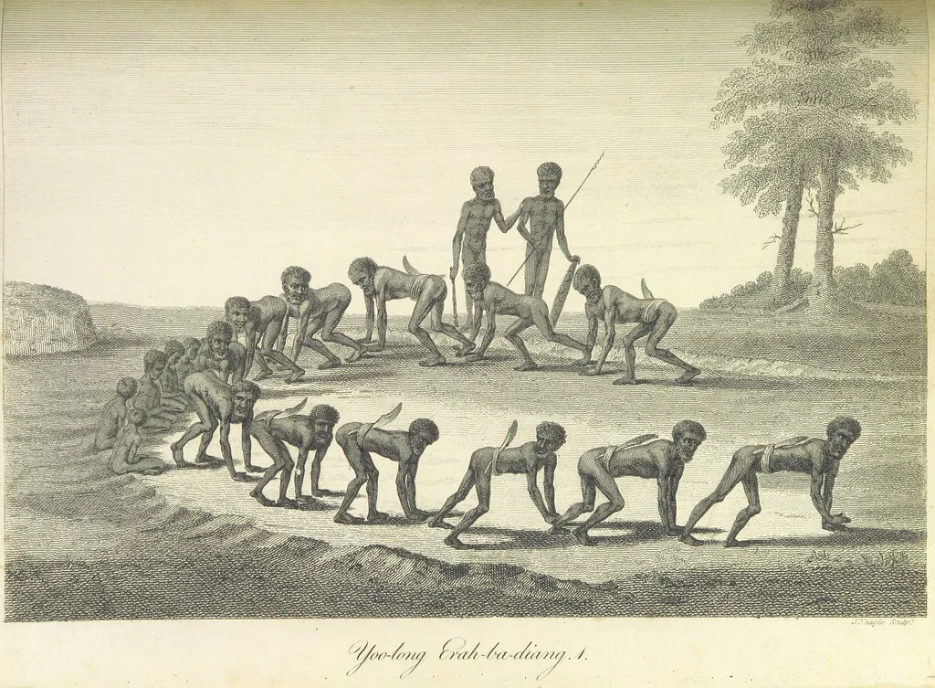 An illustration from An Account of the English Colony in New South Wales ... To which are added, some particulars of New Zealand; compiled ... from the MSS. of Lieutenant-Governor King ... Illustrated by engravings, 1804, leaf 427