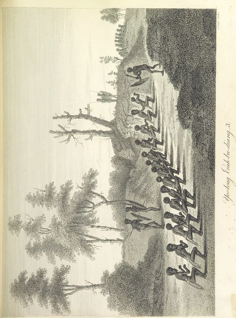 An illustration from An Account of the English Colony in New South Wales ... To which are added, some particulars of New Zealand; compiled ... from the MSS. of Lieutenant-Governor King ... Illustrated by engravings, 1804, leaf 431