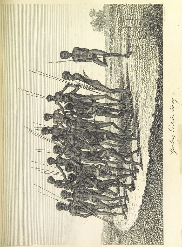 An illustration from An Account of the English Colony in New South Wales ... To which are added, some particulars of New Zealand; compiled ... from the MSS. of Lieutenant-Governor King ... Illustrated by engravings, 1804, leaf 433