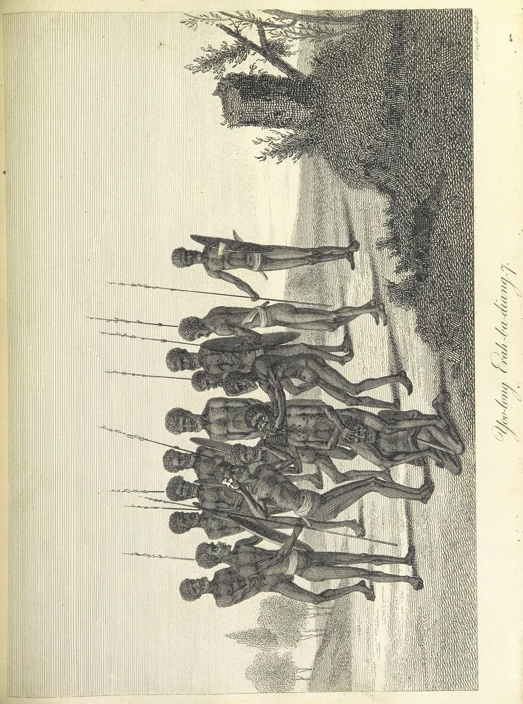 An illustration from An Account of the English Colony in New South Wales ... To which are added, some particulars of New Zealand; compiled ... from the MSS. of Lieutenant-Governor King ... Illustrated by engravings, 1804, leaf 439