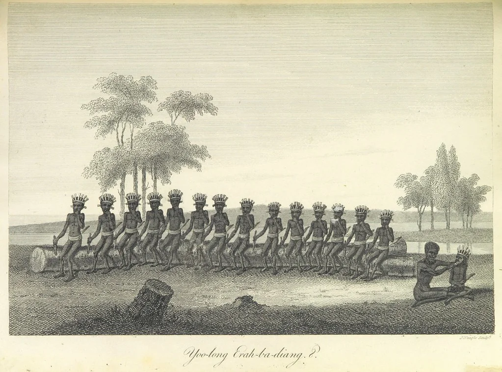 An illustration from An Account of the English Colony in New South Wales ... To which are added, some particulars of New Zealand; compiled ... from the MSS. of Lieutenant-Governor King ... Illustrated by engravings, 1804, leaf 441