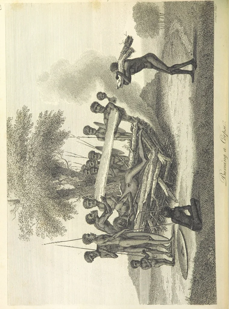 An illustration from An Account of the English Colony in New South Wales ... To which are added, some particulars of New Zealand; compiled ... from the MSS. of Lieutenant-Governor King ... Illustrated by engravings, 1804, leaf 462