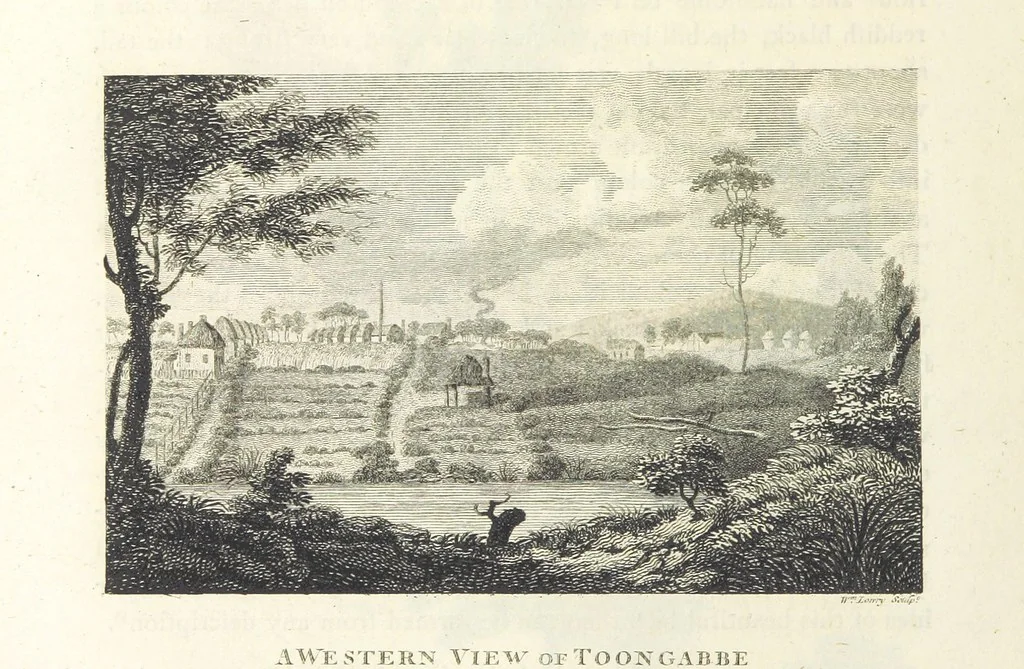 An illustration from An Account of the English Colony in New South Wales ... To which are added, some particulars of New Zealand; compiled ... from the MSS. of Lieutenant-Governor King ... Illustrated by engravings, 1804, leaf 514