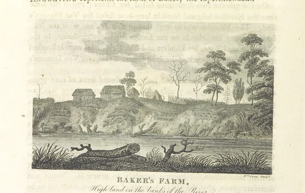 An illustration from An Account of the English Colony in New South Wales ... To which are added, some particulars of New Zealand; compiled ... from the MSS. of Lieutenant-Governor King ... Illustrated by engravings, 1804, leaf 526