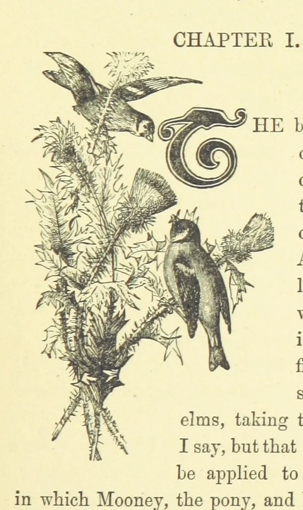 An illustration from The Woodleighs of Amscote ... Illustrated, 1881, leaf 11