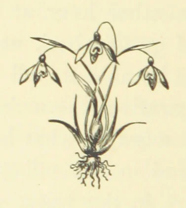 An illustration from Poor Miss Finch. A novel, 1872, leaf 190