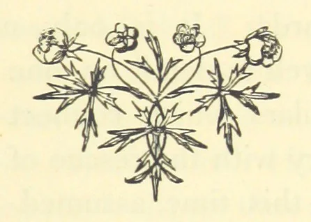 An illustration from Poor Miss Finch. A novel, 1872, leaf 235