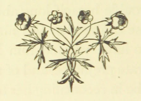 An illustration from Poor Miss Finch. A novel, 1872, leaf 256