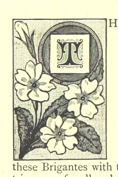 An illustration from Ilkley, Ancient and Modern ... Eighty illustrations, 1885, leaf 24