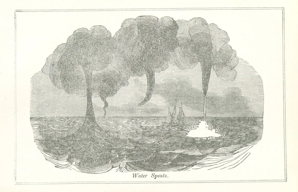 An illustration from Four Years in a Government Exploring Expedition; to the Island of Madeira-Cape Verd Islands-Brazil-Coast of Patagonia-Chili-Peru, etc, 1852, leaf 140