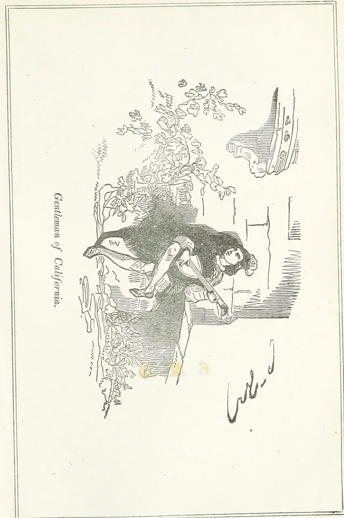 An illustration from Four Years in a Government Exploring Expedition; to the Island of Madeira-Cape Verd Islands-Brazil-Coast of Patagonia-Chili-Peru, etc, 1852, leaf 333
