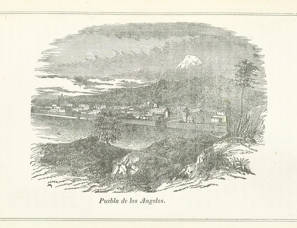 An illustration from Four Years in a Government Exploring Expedition; to the Island of Madeira-Cape Verd Islands-Brazil-Coast of Patagonia-Chili-Peru, etc, 1852, leaf 353