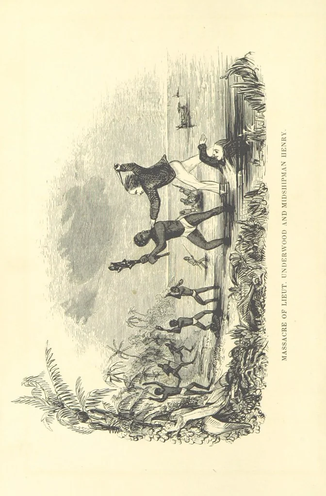 An illustration from Four Years in a Government Exploring Expedition; to the Island of Madeira-Cape Verd Islands-Brazil-Coast of Patagonia-Chili-Peru, etc, 1852, leaf 8
