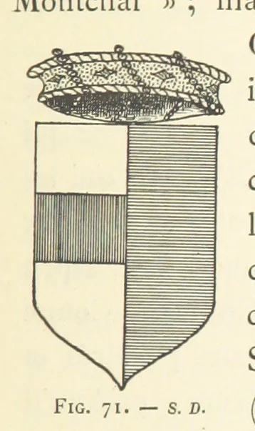 An illustration from Histoire de Saint-Chamond et de la seigneurie de Jarez depuis les temps les plus reculés jusqu'à nos jours, 1890, leaf 231