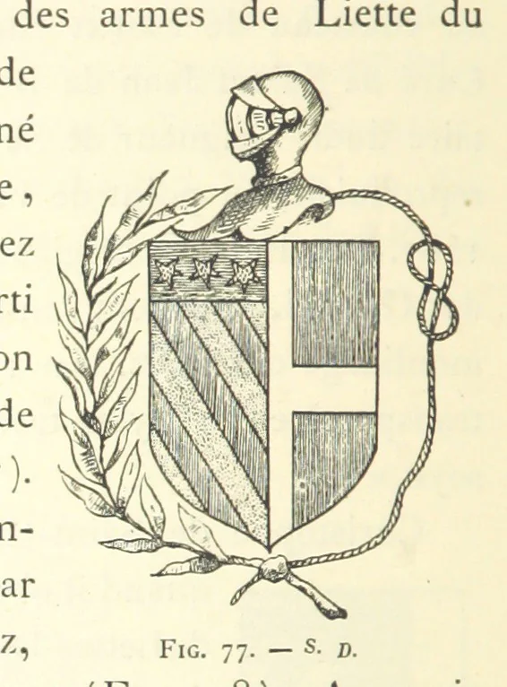 An illustration from Histoire de Saint-Chamond et de la seigneurie de Jarez depuis les temps les plus reculés jusqu'à nos jours, 1890, leaf 240