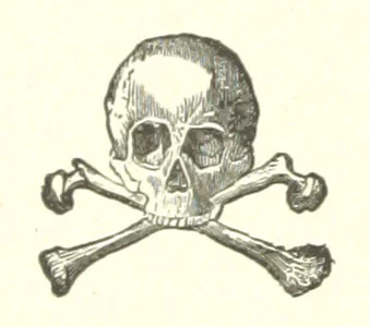 An illustration from Histoire de Saint-Chamond et de la seigneurie de Jarez depuis les temps les plus reculés jusqu'à nos jours, 1890, leaf 514