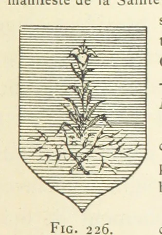 An illustration from Histoire de Saint-Chamond et de la seigneurie de Jarez depuis les temps les plus reculés jusqu'à nos jours, 1890, leaf 525