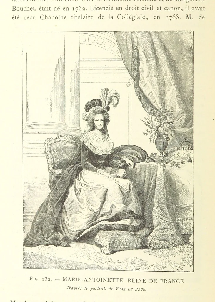 An illustration from Histoire de Saint-Chamond et de la seigneurie de Jarez depuis les temps les plus reculés jusqu'à nos jours, 1890, leaf 534