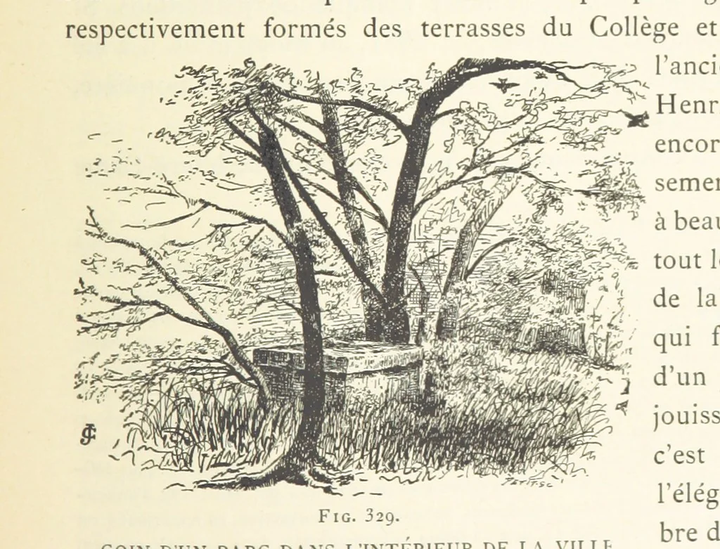 An illustration from Histoire de Saint-Chamond et de la seigneurie de Jarez depuis les temps les plus reculés jusqu'à nos jours, 1890, leaf 637