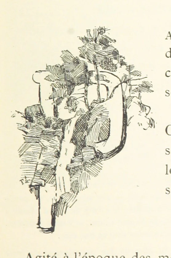 An illustration from Histoire de Saint-Chamond et de la seigneurie de Jarez depuis les temps les plus reculés jusqu'à nos jours, 1890, leaf 715