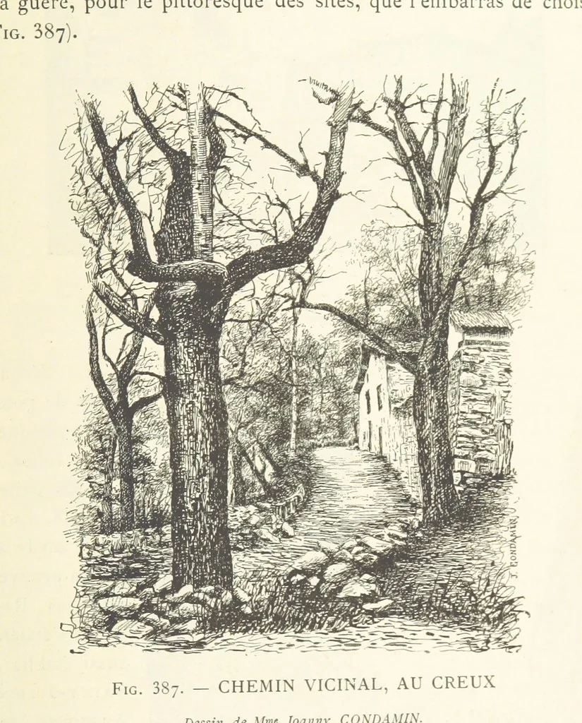 An illustration from Histoire de Saint-Chamond et de la seigneurie de Jarez depuis les temps les plus reculés jusqu'à nos jours, 1890, leaf 727