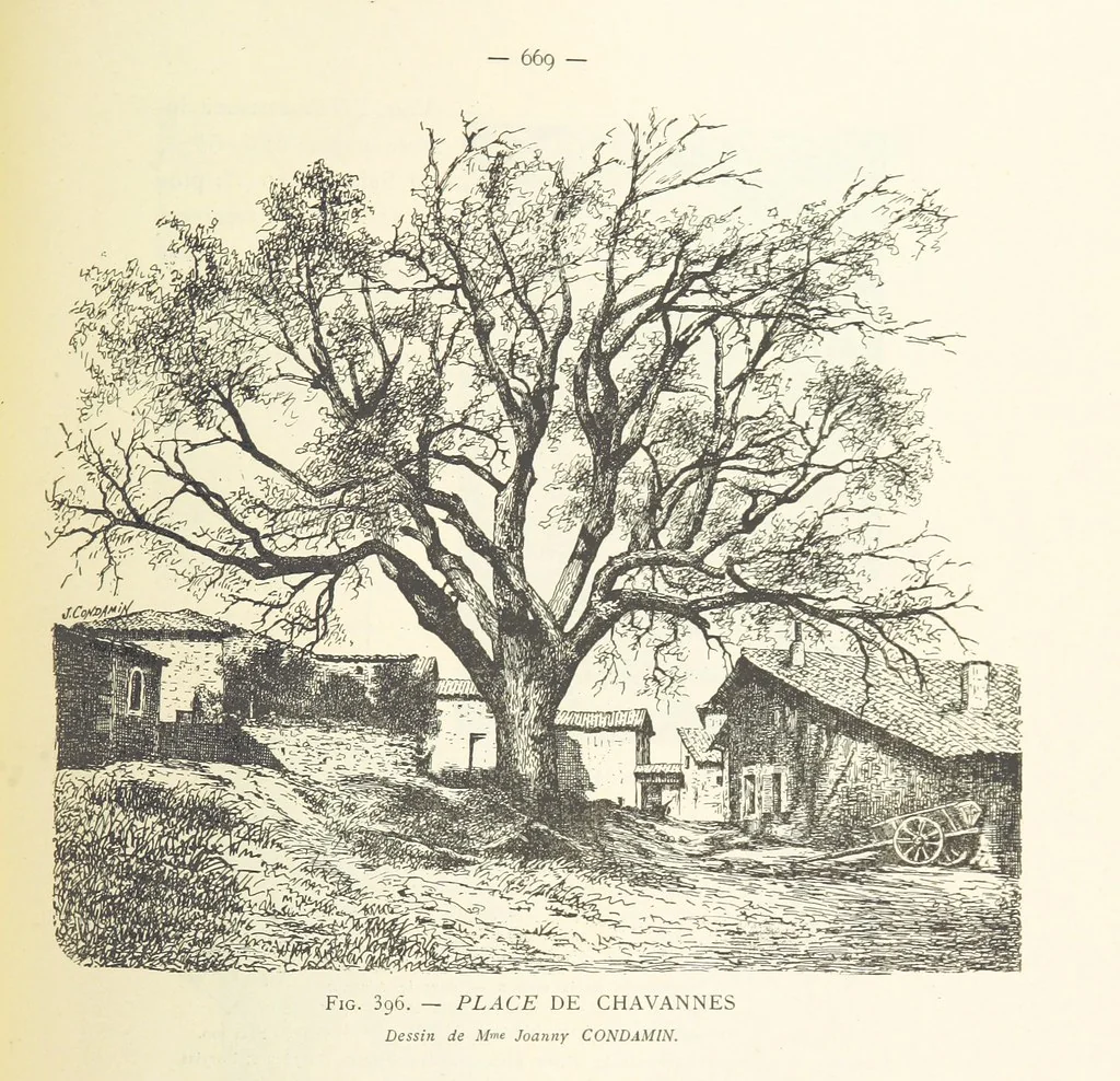 An illustration from Histoire de Saint-Chamond et de la seigneurie de Jarez depuis les temps les plus reculés jusqu'à nos jours, 1890, leaf 733