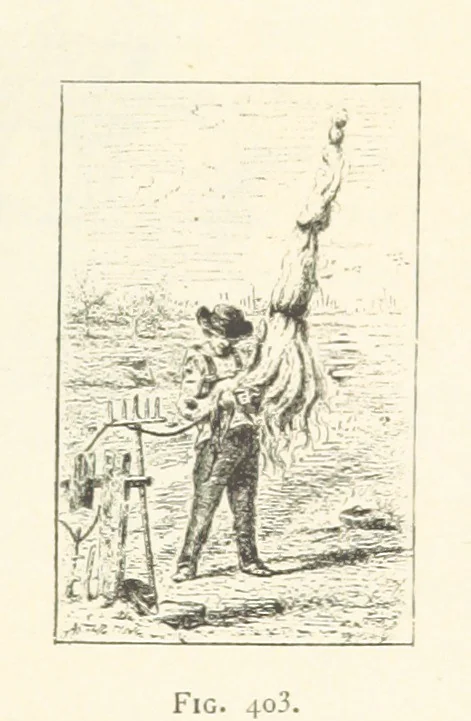 An illustration from Histoire de Saint-Chamond et de la seigneurie de Jarez depuis les temps les plus reculés jusqu'à nos jours, 1890, leaf 735