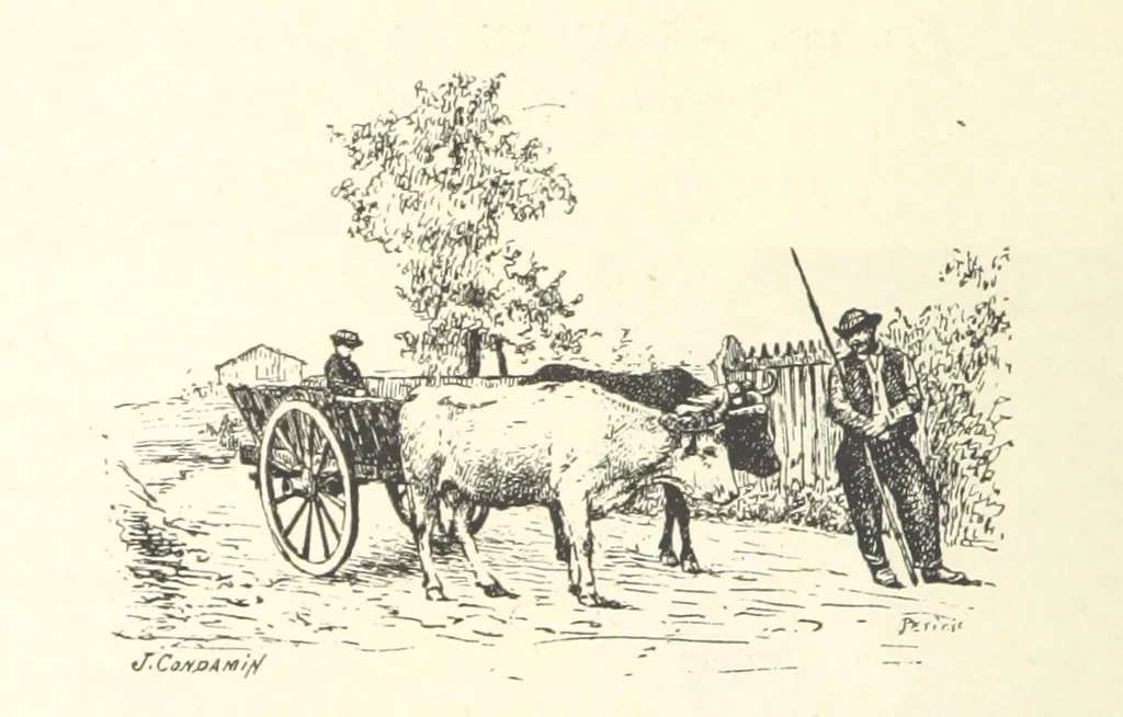 An illustration from Histoire de Saint-Chamond et de la seigneurie de Jarez depuis les temps les plus reculés jusqu'à nos jours, 1890, leaf 736