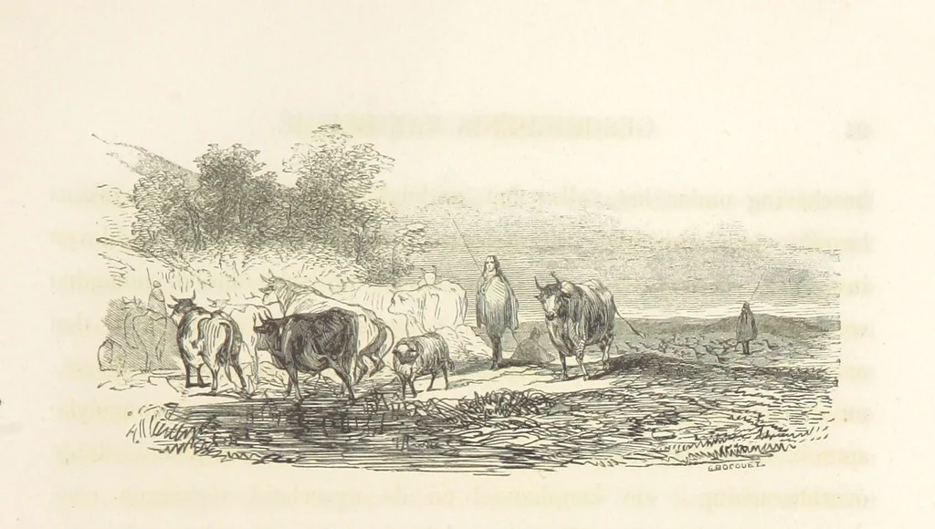 An illustration from Geschiedenis van België ... Versierd met 200 houtsneden, etc, 1845, leaf 37