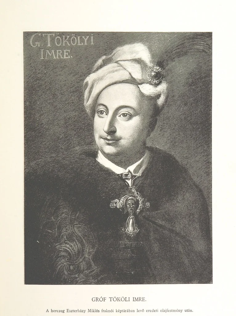 An illustration from Avvisi del cavaliere Federico Cornaro, ambasciatore veneto, circa l'assedio e la presa della fortezza di Buda nell'anno 1686. Con traduzione ungherese ed introduzione storica da Sigismondo Bubics. (Cornaro Frigyes velenczei követ Jelentései, etc.) [With plates, including portraits.] Ital. & Hung, 1891, leaf 321