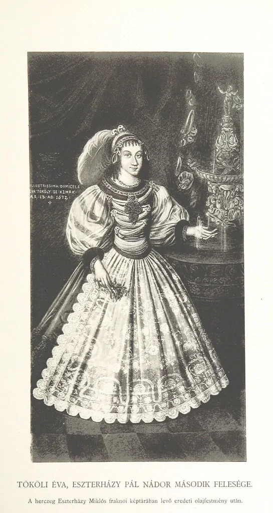 An illustration from Avvisi del cavaliere Federico Cornaro, ambasciatore veneto, circa l'assedio e la presa della fortezza di Buda nell'anno 1686. Con traduzione ungherese ed introduzione storica da Sigismondo Bubics. (Cornaro Frigyes velenczei követ Jelentései, etc.) [With plates, including portraits.] Ital. & Hung, 1891, leaf 425