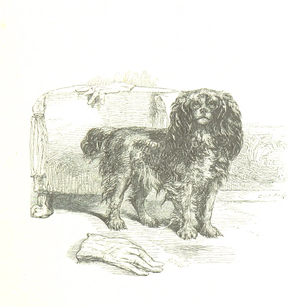 An illustration from Dramatic Scenes. With other poems, now first printed ... Illustrated, 1857, leaf 391