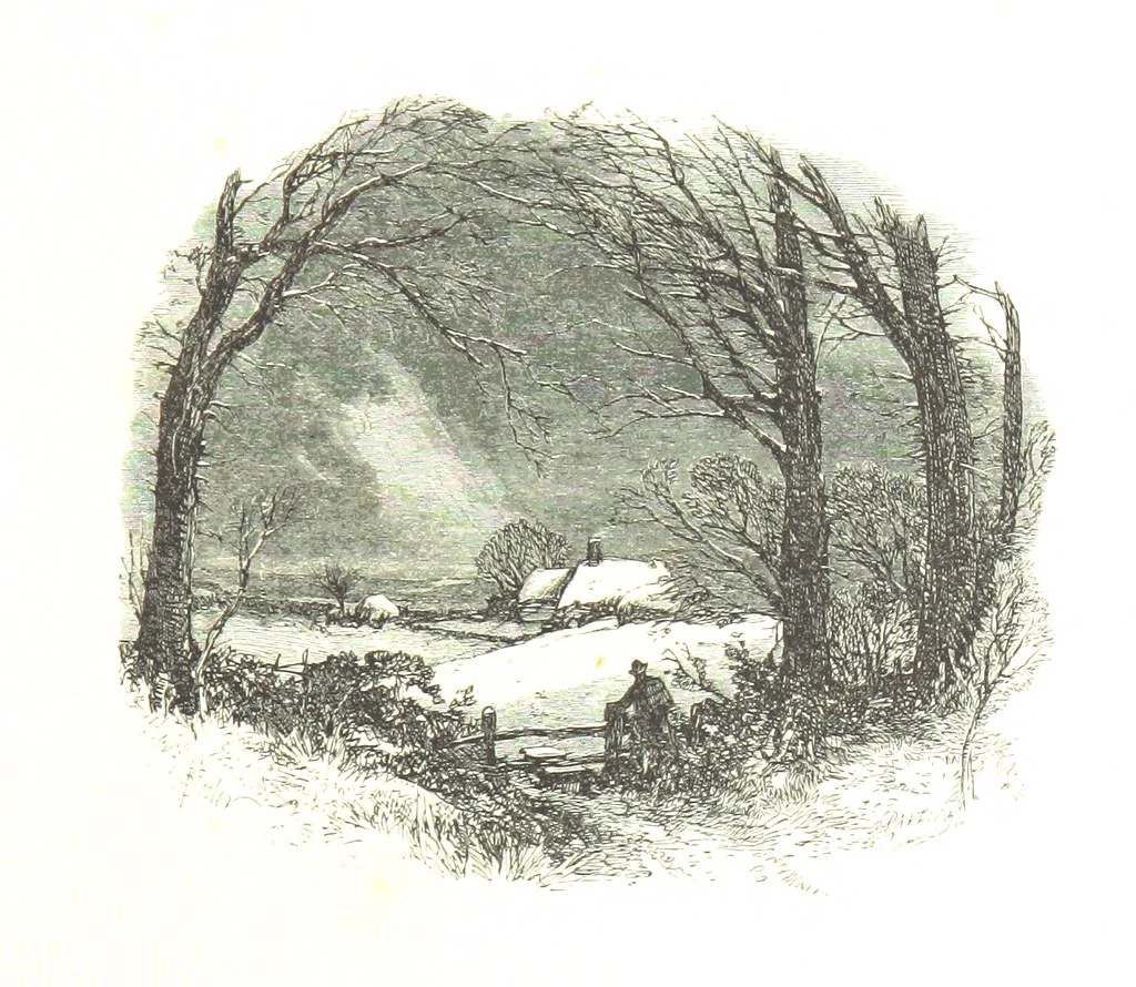 An illustration from Dramatic Scenes. With other poems, now first printed ... Illustrated, 1857, leaf 397