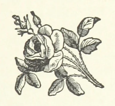 An illustration from In Scorn of Consequence; or, My brother's keeper, 1886, leaf 113