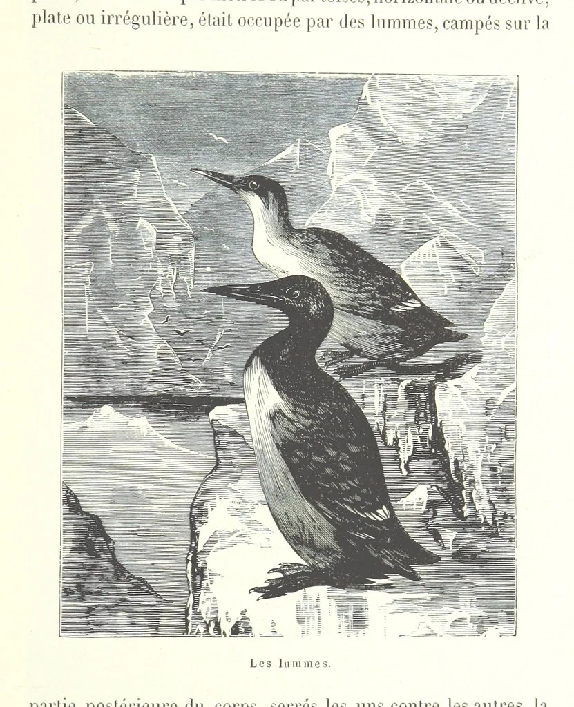 An illustration from Mœurs et caractères des peuples, Asie-Amérique-Océanie. Morceaux extraits de divers auteurs. [With illustrations, 1879, leaf 171