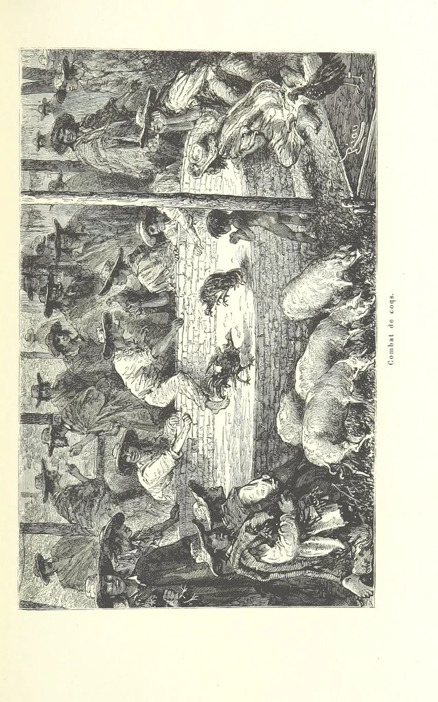 An illustration from Mœurs et caractères des peuples, Asie-Amérique-Océanie. Morceaux extraits de divers auteurs. [With illustrations, 1879, leaf 231