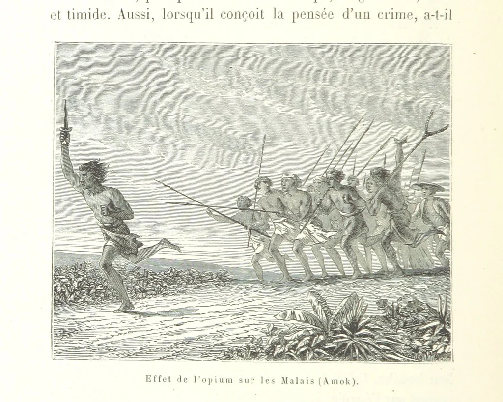 An illustration from Mœurs et caractères des peuples, Asie-Amérique-Océanie. Morceaux extraits de divers auteurs. [With illustrations, 1879, leaf 270