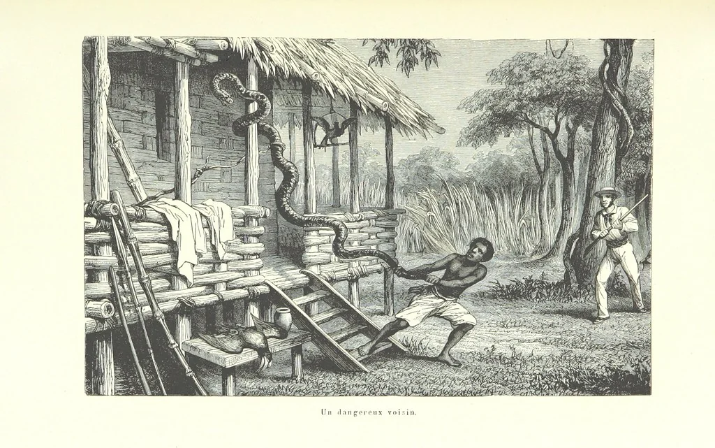 An illustration from Mœurs et caractères des peuples, Asie-Amérique-Océanie. Morceaux extraits de divers auteurs. [With illustrations, 1879, leaf 277