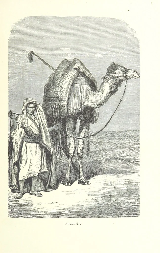 An illustration from Mœurs et caractères des peuples, Asie-Amérique-Océanie. Morceaux extraits de divers auteurs. [With illustrations, 1879, leaf 41
