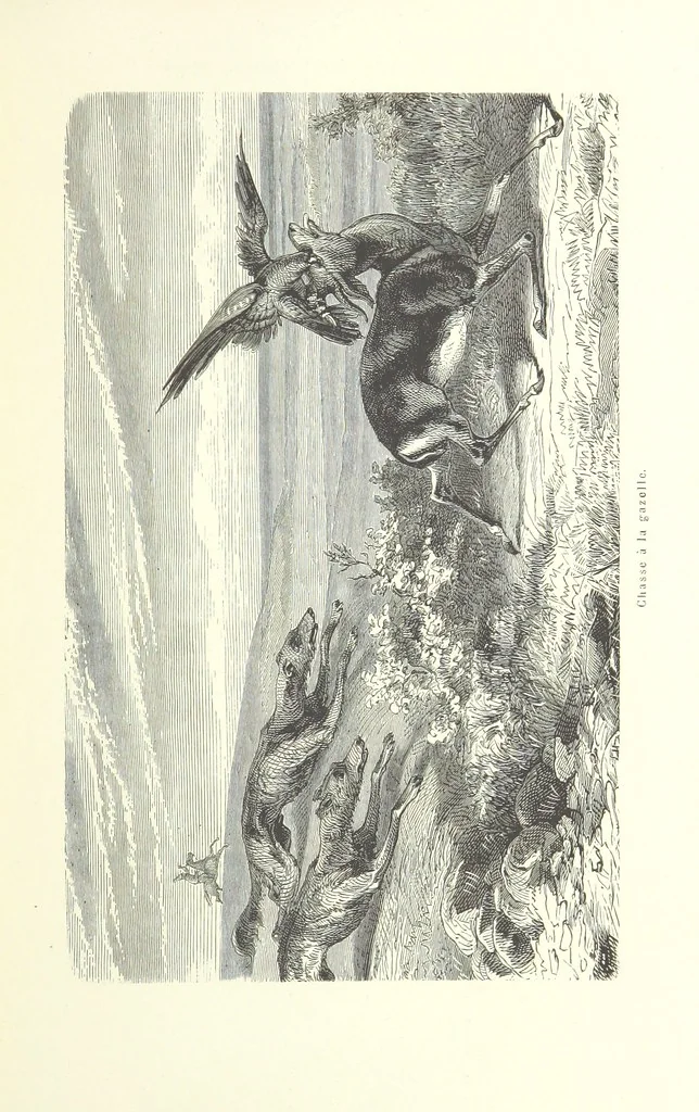 An illustration from Mœurs et caractères des peuples, Asie-Amérique-Océanie. Morceaux extraits de divers auteurs. [With illustrations, 1879, leaf 61