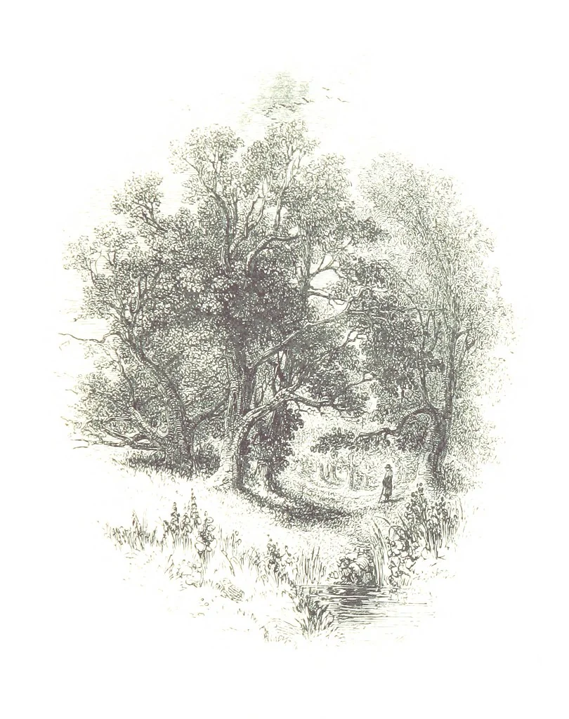 An illustration from Poems ... With a biographical and critical introduction by the Rev. Thomas Dale, and seventy-five illustrations, engraved by J. Orrin Smith, from drawings by John Gilbert, 1841, leaf 263