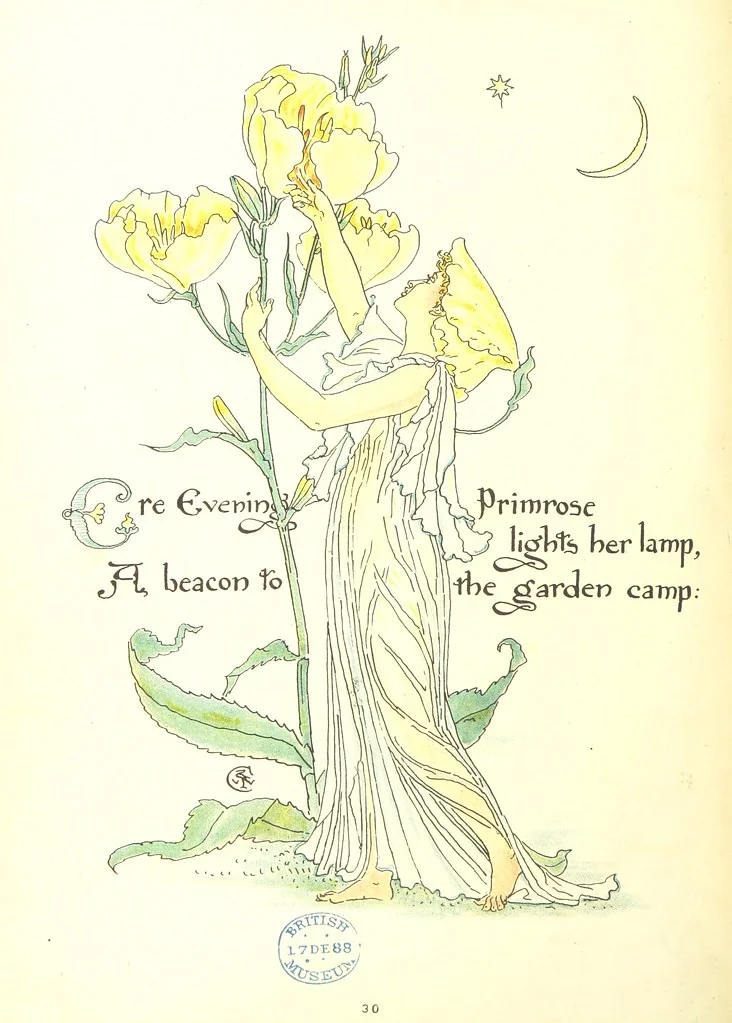 An illustration from Flora's Feast. A masque of flowers, penned & pictured by Walter Crane, 1889, leaf 72