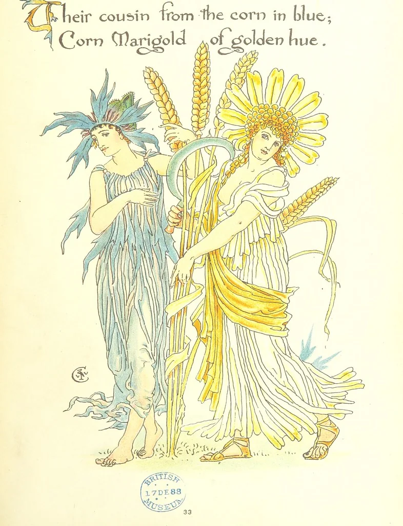 An illustration from Flora's Feast. A masque of flowers, penned & pictured by Walter Crane, 1889, leaf 77