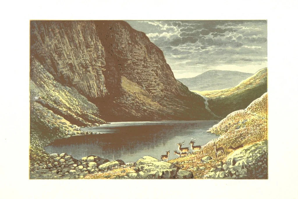 An illustration from Scottish Loch Scenery. Illustrated in a series of coloured plates from drawings by A. F. Lydon. With descriptive text by T. A. Croal, 1882, leaf 148