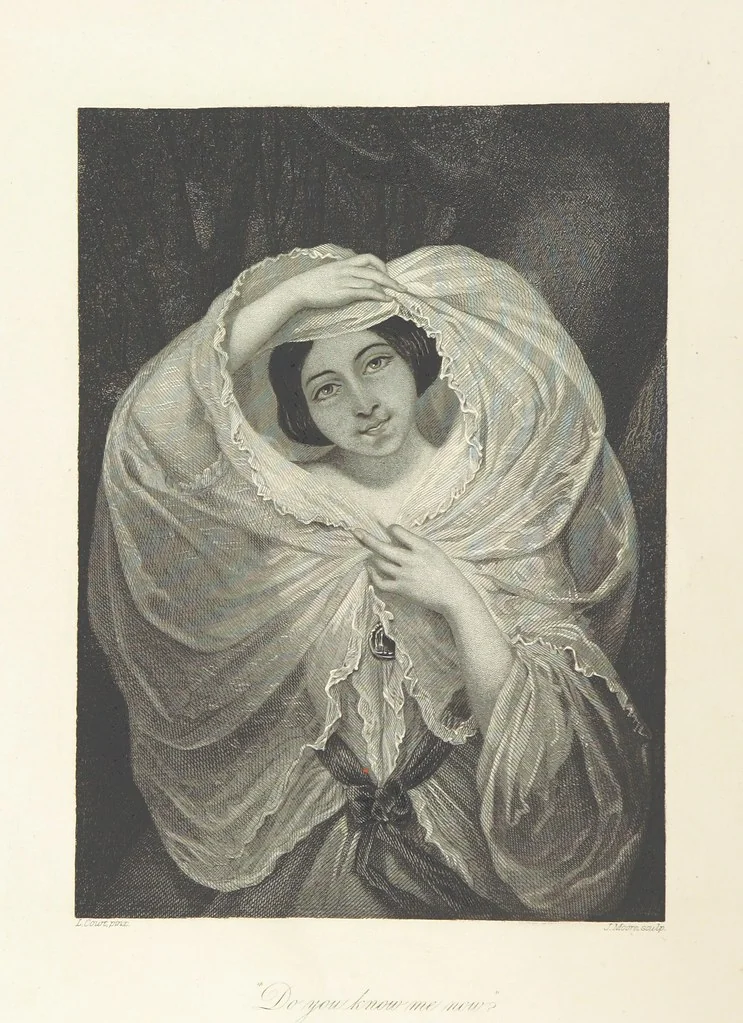 An illustration from The American in Europe: being “guesses” and “calculations” on men and manners; made during a tour through the most important portions of Europe. [With plates, 1850, leaf 10